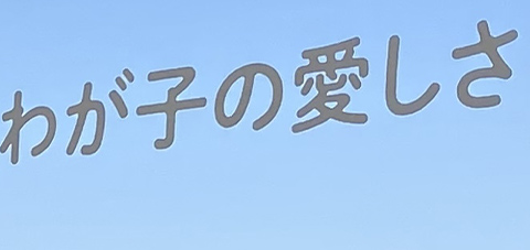 山が泳いでいるね 飛行機の窓 見て教えてくれたわが子の愛しさ