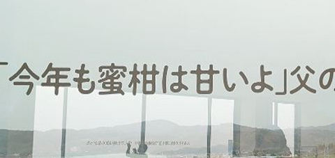 「今年も蜜柑は甘いよ」父の電話は帰っておいでの合図