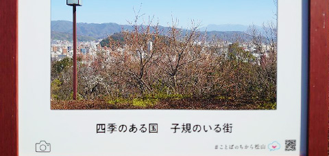 花見広場／ことば：「四季のある国　子規のいる街」