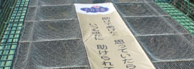 松山城ロープウェイのリフトの下は「ことば」の展示場。