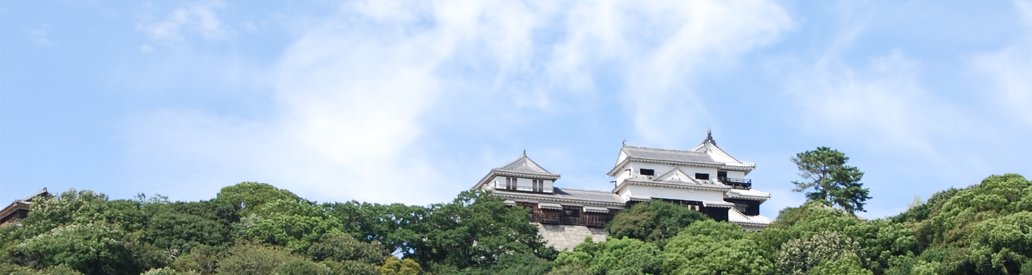 松山市のシンボル「松山城」