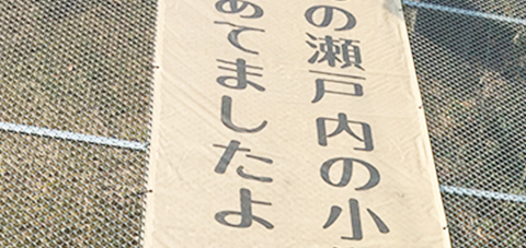 かあさんの瀬戸内の小学校、尋ねあてましたよ