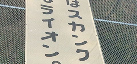 おとうさんはスカンク。おかあさんはライオン。