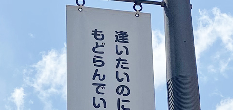 逢いたいのに　もどらんでいいと言う親心